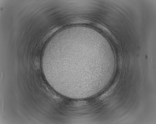 X0000076370833200610271501