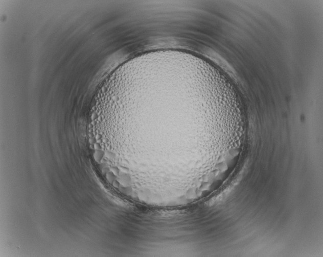 X0000076370849200610271501