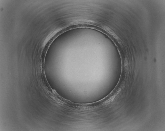 X0000076370877200610271500