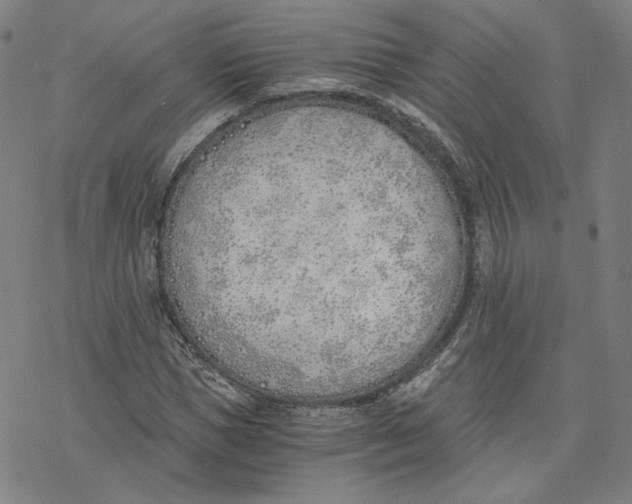 X0000076370921200610271459