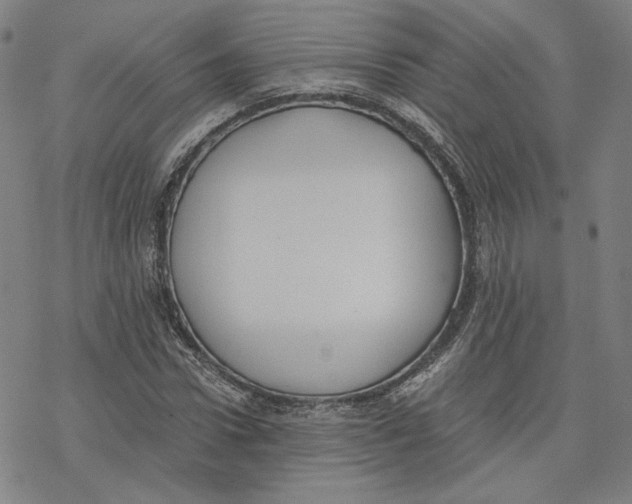 X0000076370922200610271459