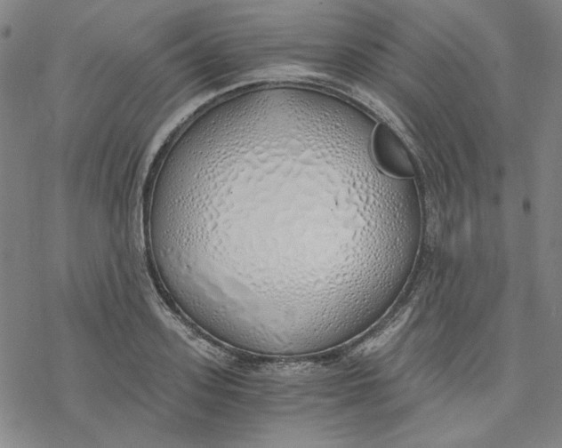 X0000076370939200610271459