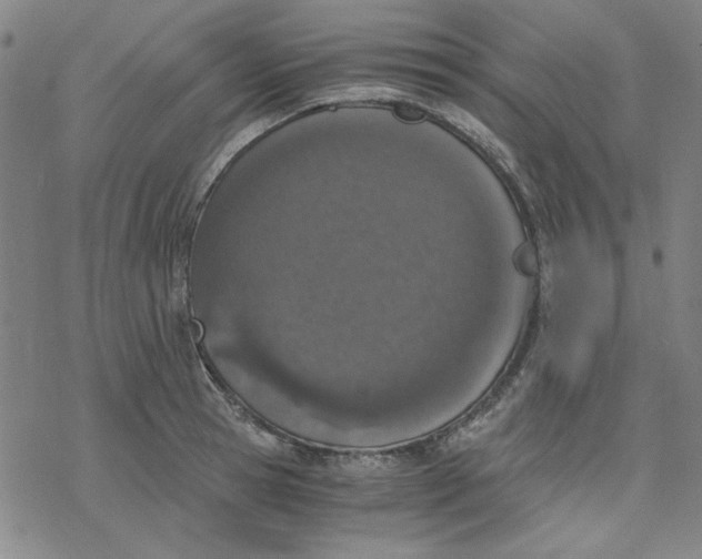 X0000076370945200610271459