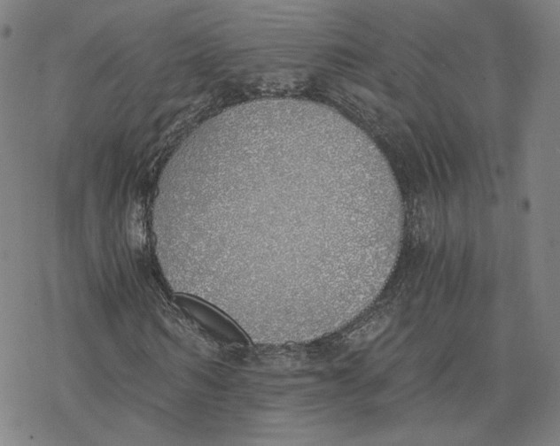 X0000076370962200610271459