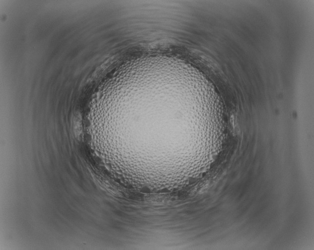 X0000076370963200610271459