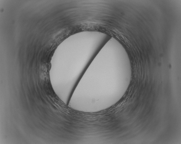 X0000076370964200610271459