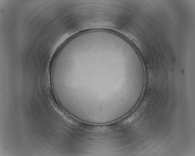 X0000076370982200610271458