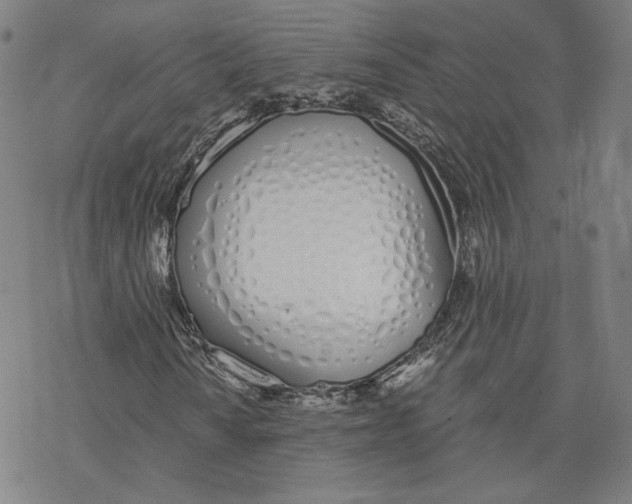 X0000076371010200610271457