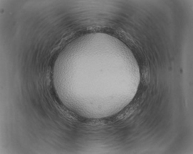 X0000076371012200610271457
