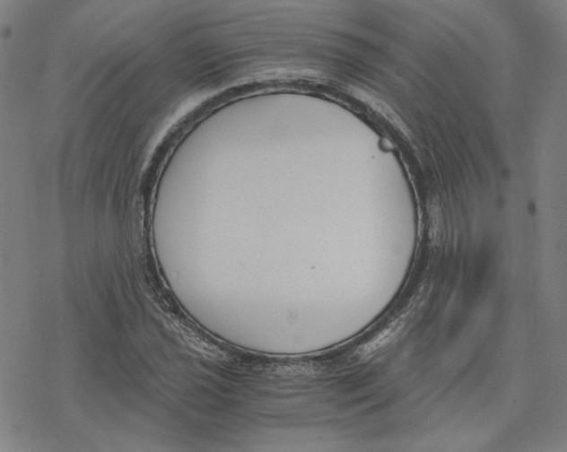 X0000076371021200610271457