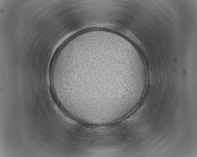 X0000076371028200610271457