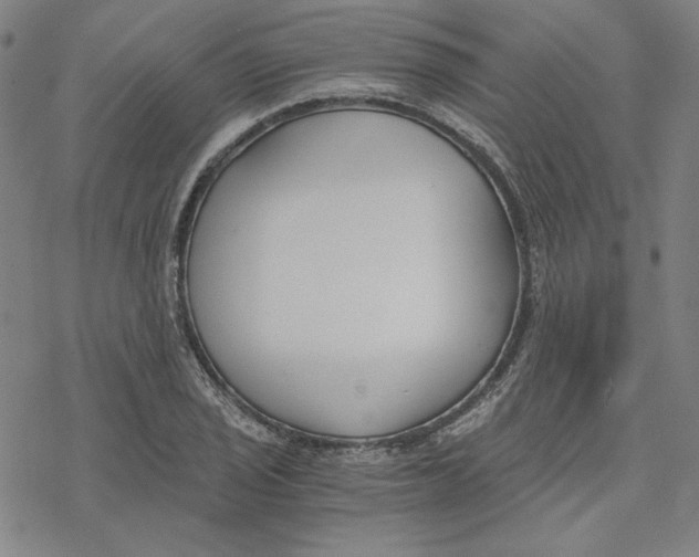 X0000076371029200610271457