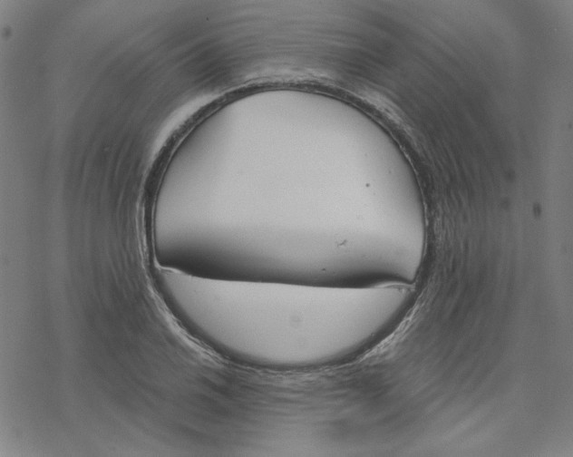 X0000076371030200610271458
