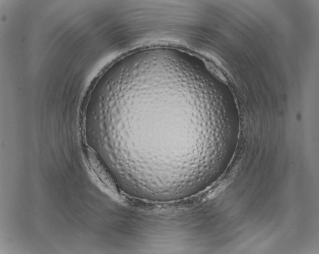 X0000076371038200610271458