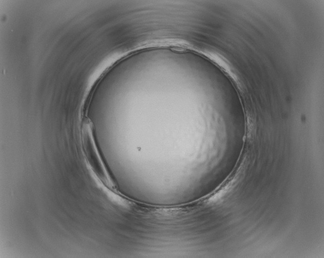 X0000076371046200610271458