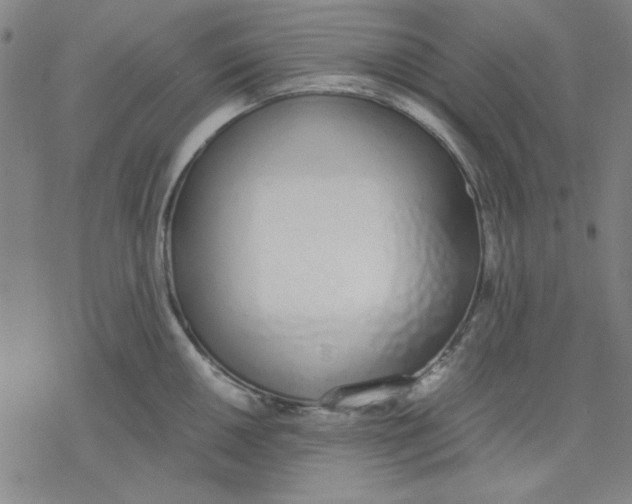 X0000076371050200610271458