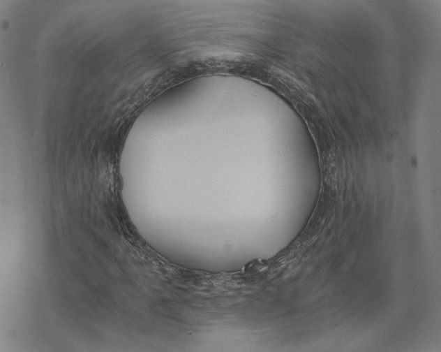 X0000076371061200610271457