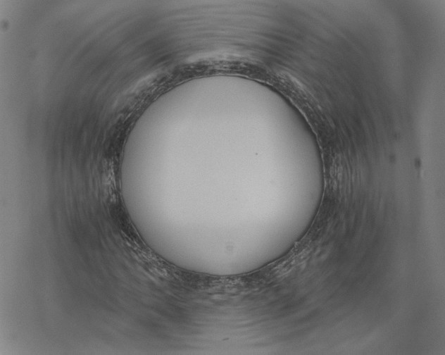 X0000076371062200610271457