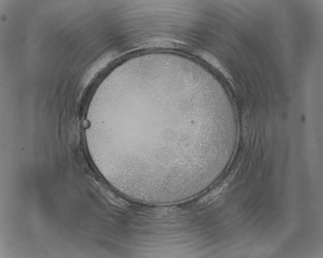 X0000076371067200610271457