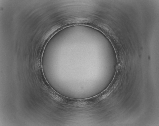 X0000076371073200610271457