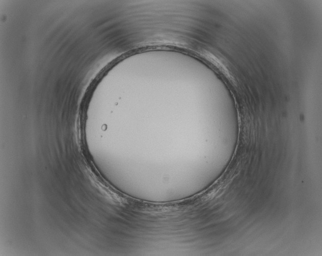 X0000076371076200610271457