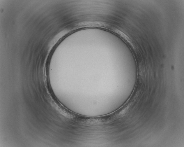 X0000076371082200610271457