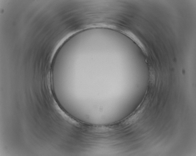 X0000076371100200610271456