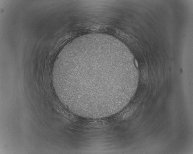 X0000076371105200610271456