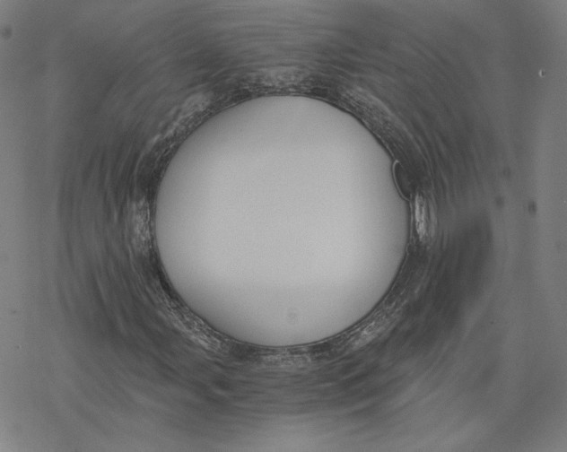 X0000076371107200610271456