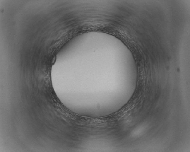 X0000076371109200610271456