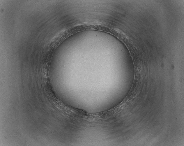 X0000076371110200610271456