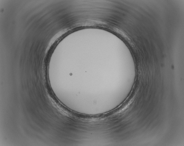 X0000076371122200610271456