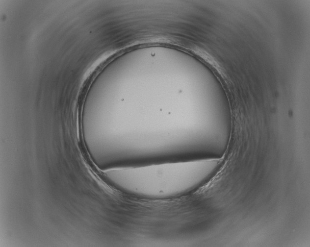 X0000076371127200610271456