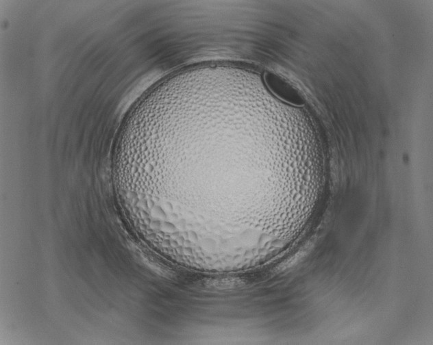 X0000076371129200610271456