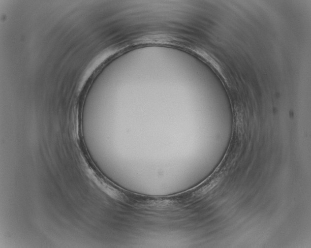 X0000076371131200610271456
