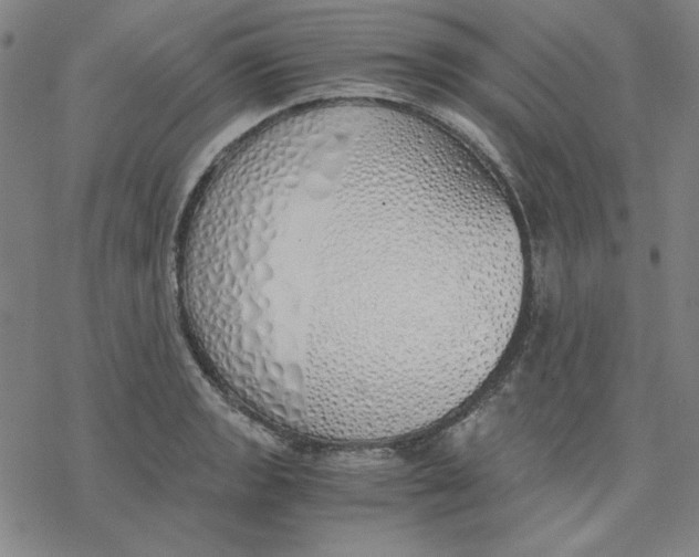 X0000076371133200610271456