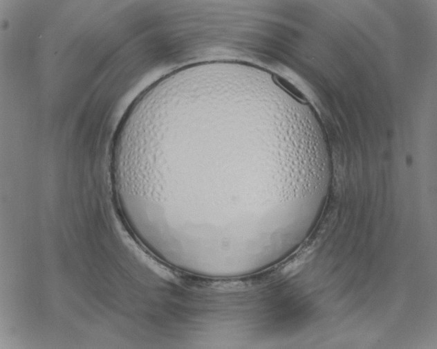 X0000076371142200610271456