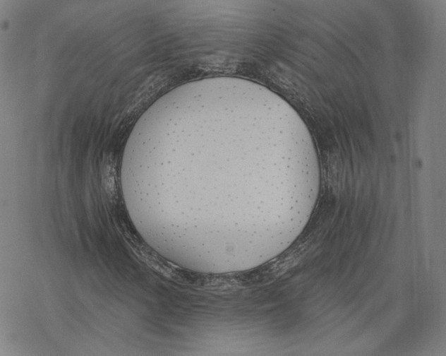 X0000076371154200610271456