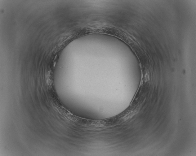 X0000076371156200610271456