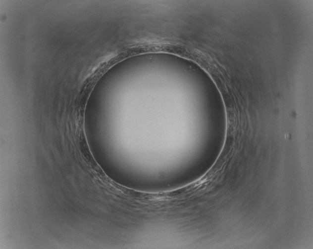 X0000076371157200610271456