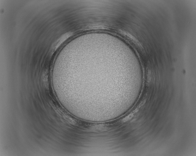 X0000076371162200610271455