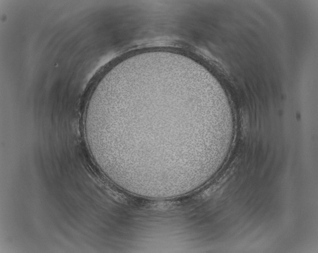 X0000076371166200610271455