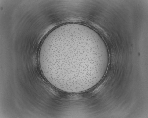 X0000076371170200610271455