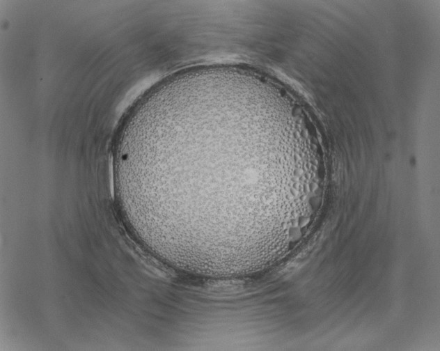 X0000076371171200610271455