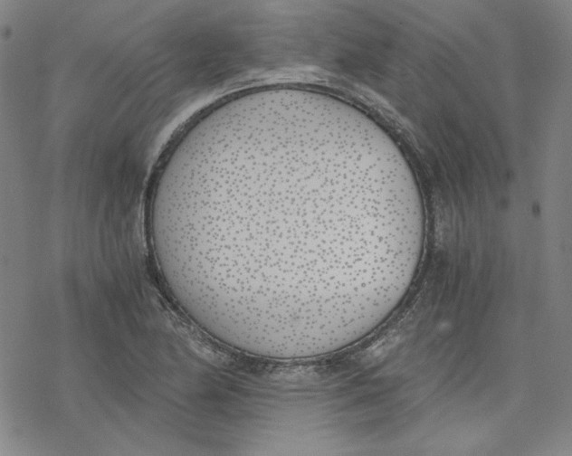 X0000076371174200610271455