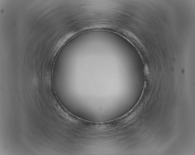 X0000076371177200610271455