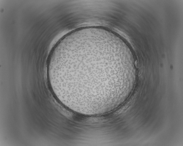X0000076371179200610271455