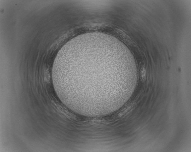 X0000076371204200610271454