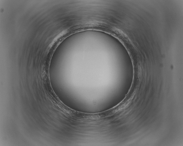 X0000076371210200610271454