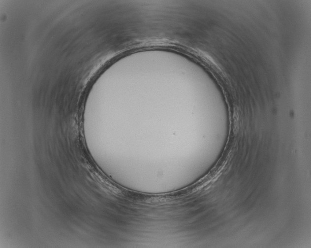 X0000076371212200610271454